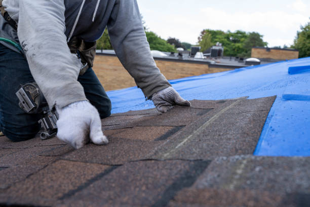 Best Roof Gutter Cleaning  in Lake Arrowhead, ME